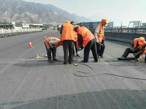 饶河道路桥梁病害治理